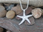 Starfish Shell Pendant – Fine Silver